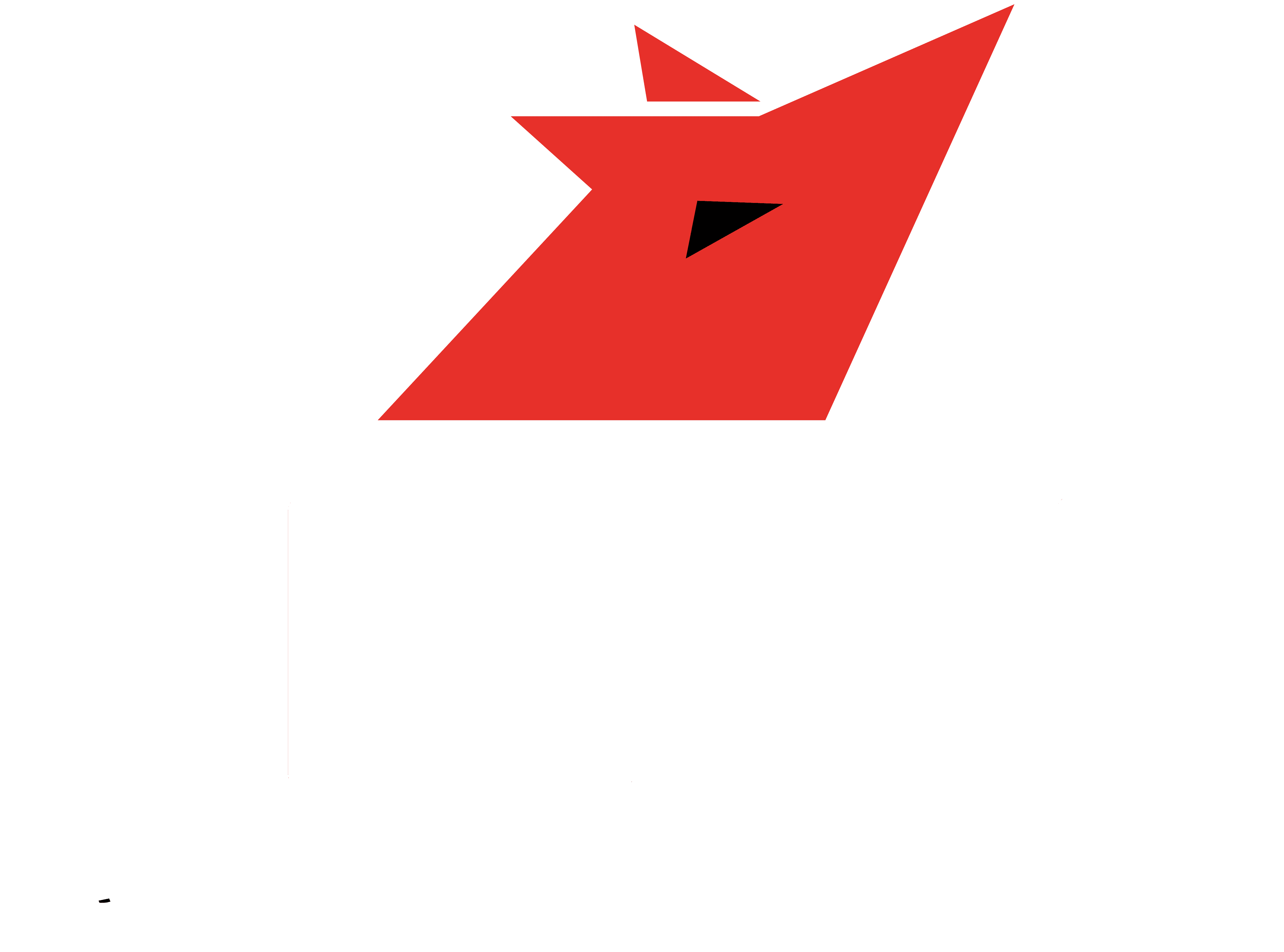 Thoughtfox Brand Strategies – Best Branding Agency in Kerala